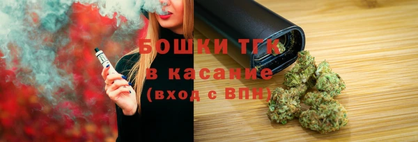 ешки Вяземский