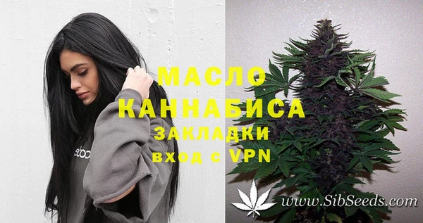 ешки Вяземский