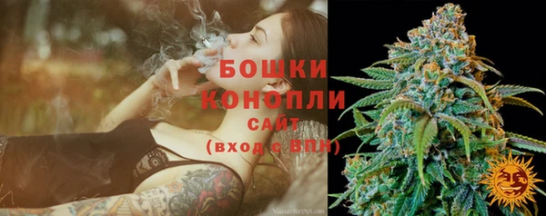 ешки Вяземский