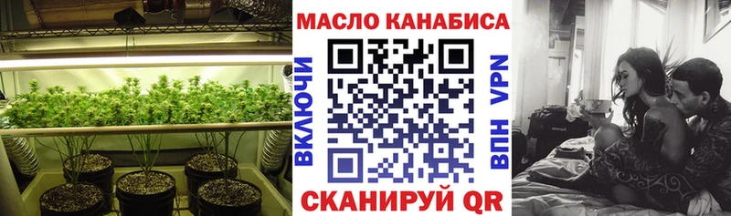 Купить где  Ртищево  ТГК THC oil 